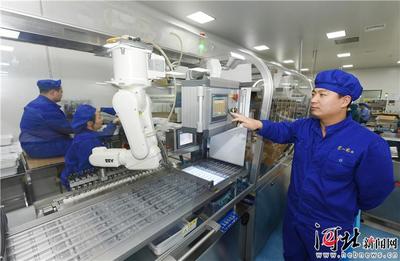 高端研發實驗室成更多藥企“標配”——石家莊著力做強做優生物醫藥健康產業的調查